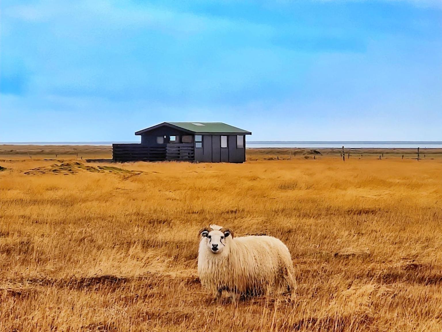 Green Farm Stay With Private Hot Tub Hvolsvöllur المظهر الخارجي الصورة